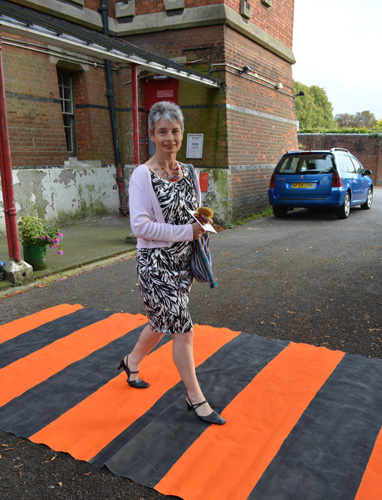 Campaign for Tiger Crossings by Ann Rapstoff, Philip Lee and Cally Trench